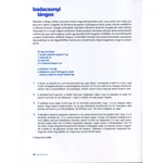 Gyors sorozat 4-6. - dísztokban