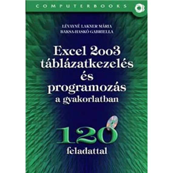 Excel 2003 táblázatkezelés és programozás a gyakorlatban - 120 feladattal, CD-vel